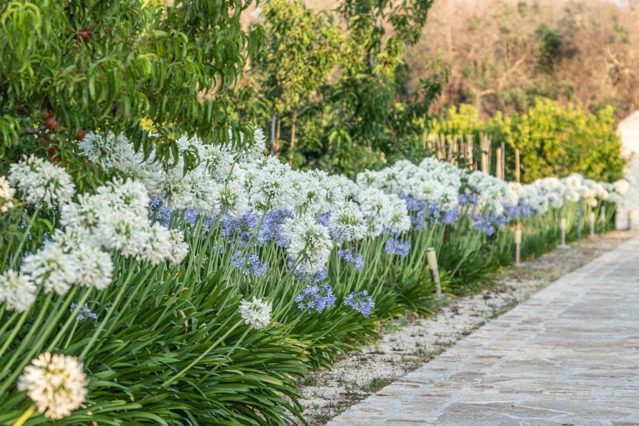Agriturismo Panacea Santa Cesarea Terme Bagian luar foto