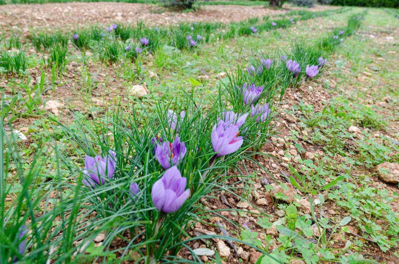 Agriturismo Panacea Santa Cesarea Terme Bagian luar foto
